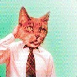 Asaayu avatar